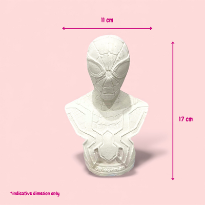 Superhero the Spiderman - DIY Plaster Figurine Painting Kit