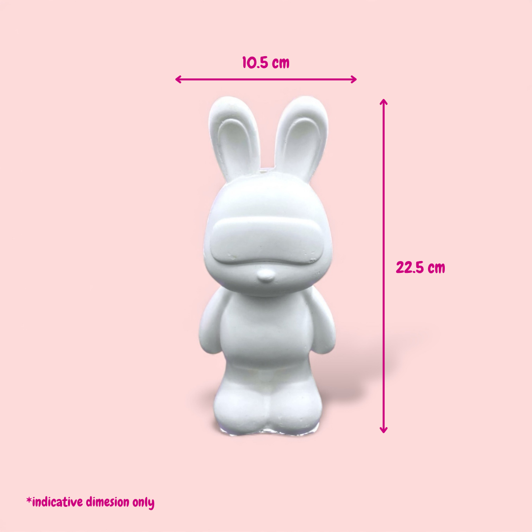Rabbit Goggles -DIY Plaster Figurine Painting Kit